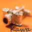 KAWA21