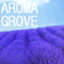 aroma_grove