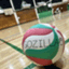 gozilla-volleyball