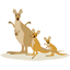 kangaroo_papa