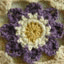 lavender1214