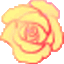 rose24